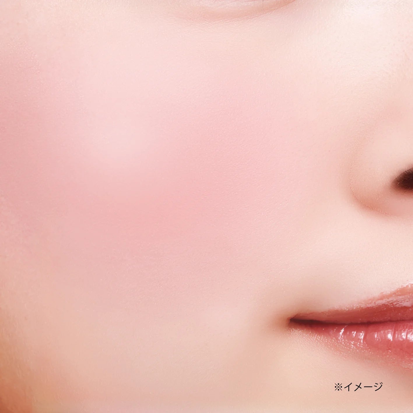 CANMAKE Gradation Cheeks [New]