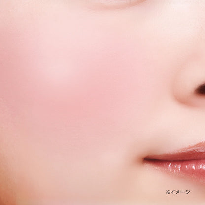 CANMAKE Gradation Cheeks [New]