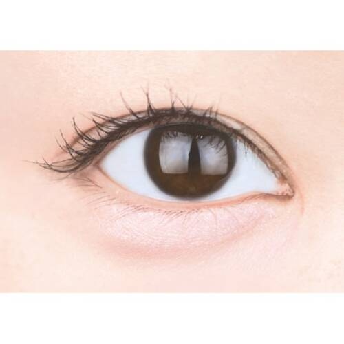 CANMAKE Plumpuku Coordinate Eyes